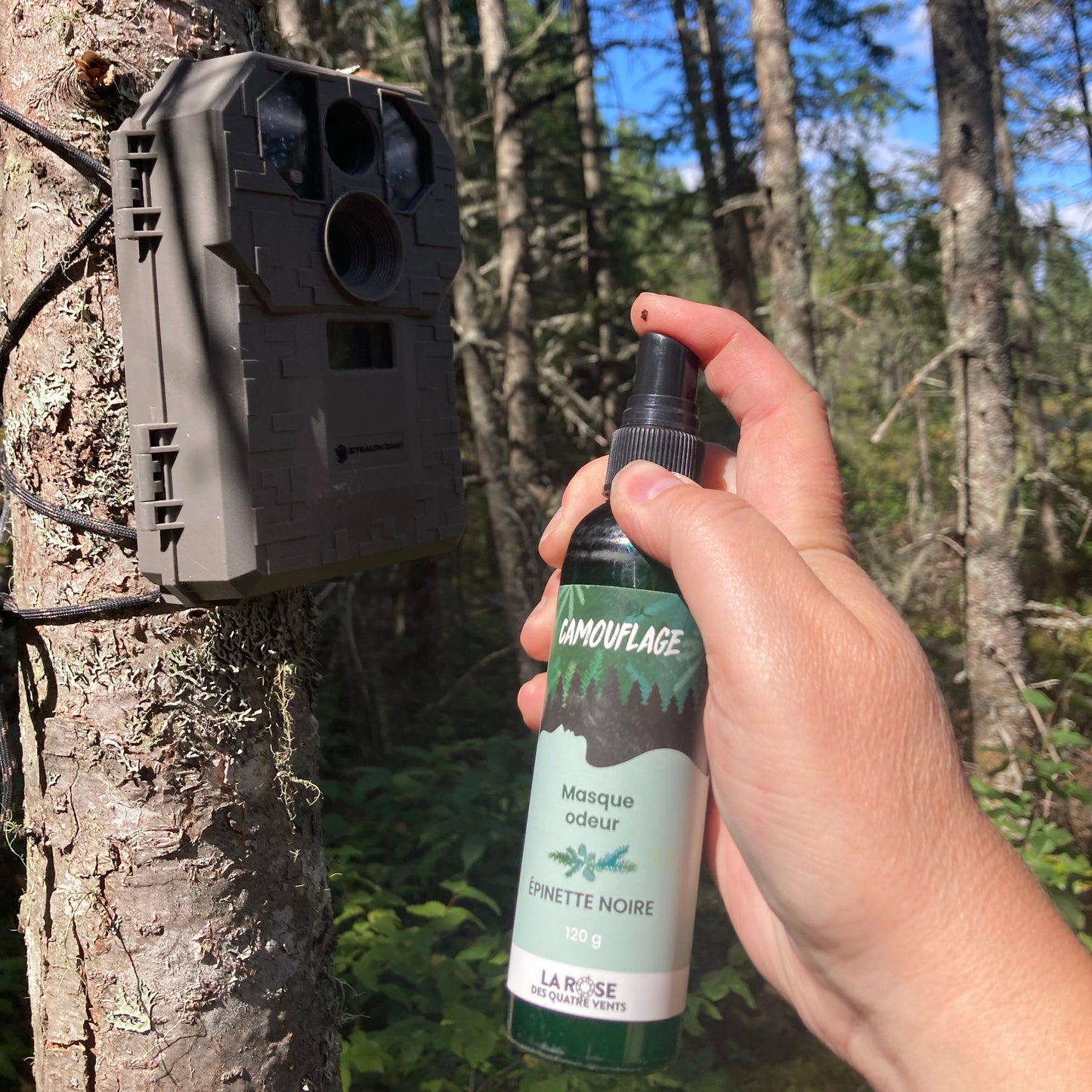 Masque odeur à l'épinette noire